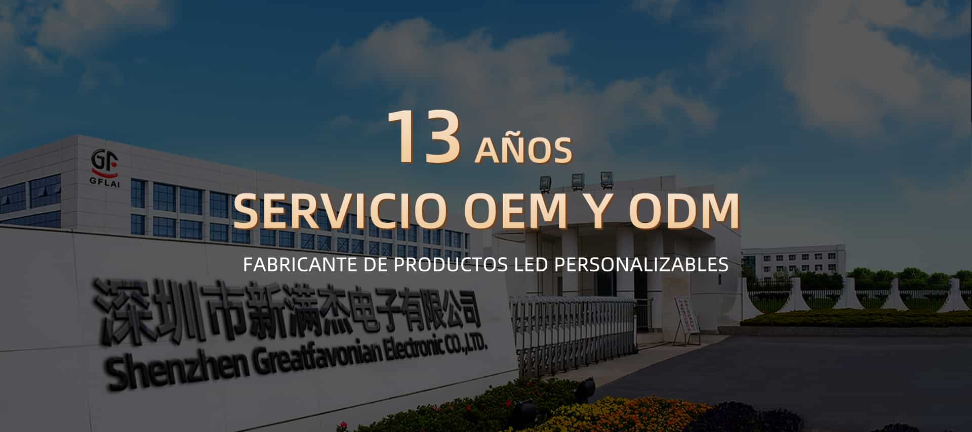 Pulsera LED